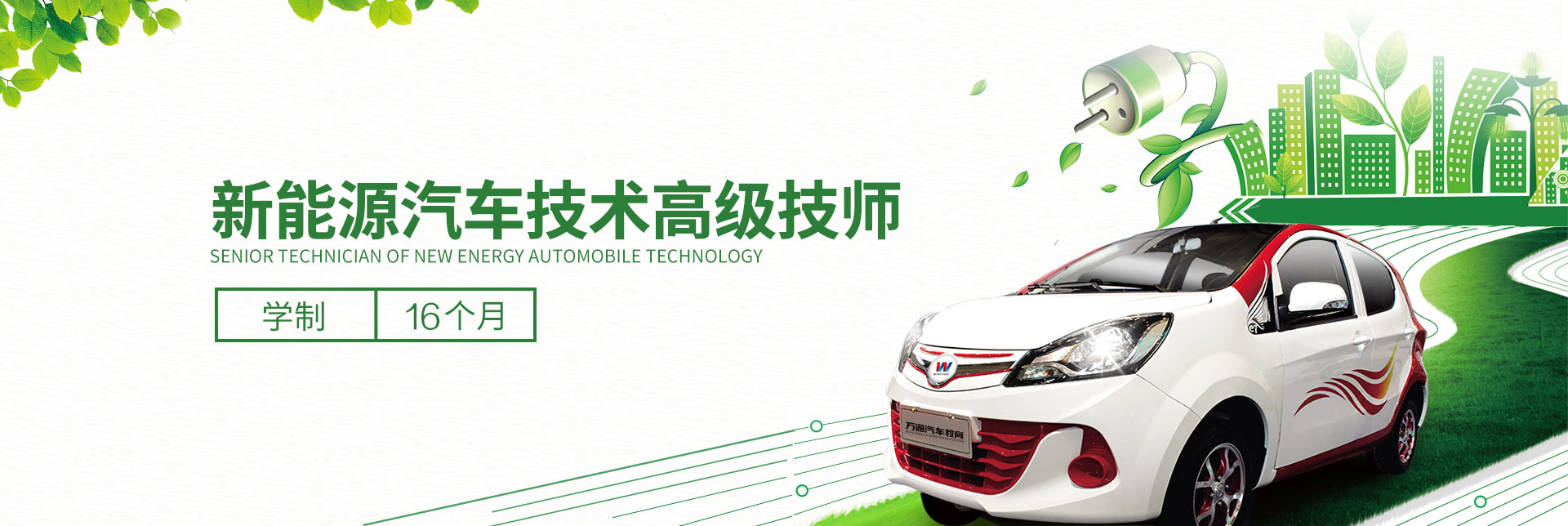 新能源汽車技術高級技師
